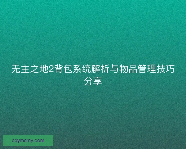 无主之地2背包系统解析与物品管理技巧分享